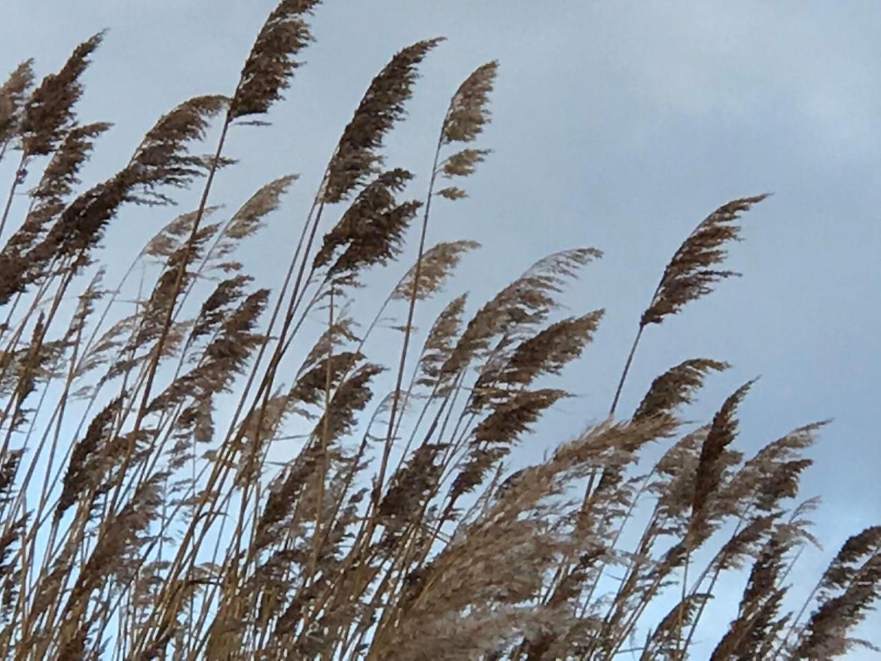 הוילה Lassan Haus-Hafenblick מראה חיצוני תמונה